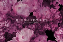 Blush Peonies