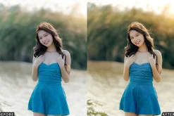 Blush Meadow Tones Lightroom Presets