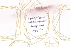 Blush & Navy Gold Polygons