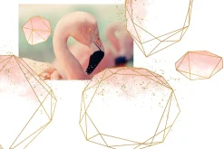 Blush & Navy Gold Polygons