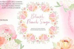 Blush Peach Sage flowers
