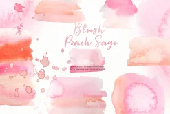 Blush Peach Sage flowers