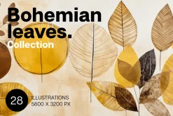 Bohemian leaves. Illustrations