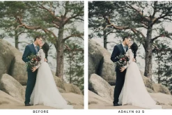 20 Bohemian Light Lightroom Presets