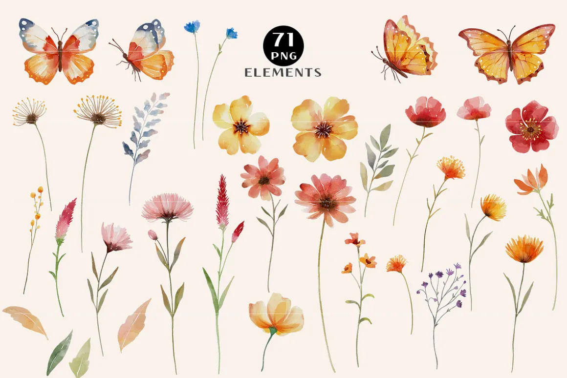 Boho Watercolor Wildflowers