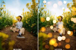 100 BOKEH LIGHT OVERLAYS