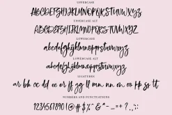Bold Brush Font + Bonus Font