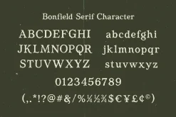 Bonfield – Modern Vintage Duo Font