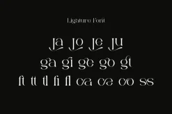 Bonuko - Modern Ligature Serif Font