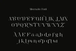 Bonuko - Modern Ligature Serif Font