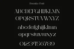 Bonuko - Modern Ligature Serif Font