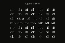 Bonuko - Modern Ligature Serif Font