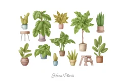 Books clipart bundle