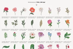Botanical Modern Floral Illustration