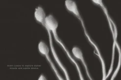 Botanical Traces: Blurred Floral PNG