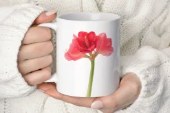 Botanical art - amarillis flowers