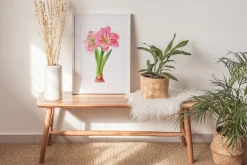 Botanical art - amarillis flowers