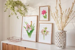 Botanical art - amarillis flowers