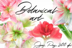 Botanical art - amarillis flowers
