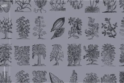 Botanical Collection
