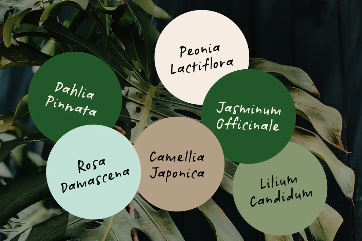 Botanicale | Handwritten Font