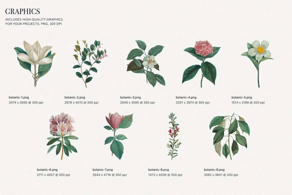 Botanical Elegant English Pattern