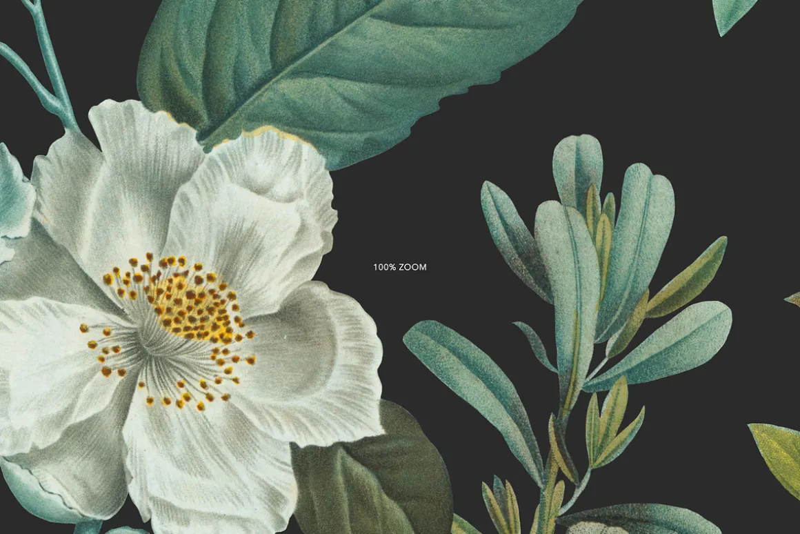 Botanical Elegant English Pattern