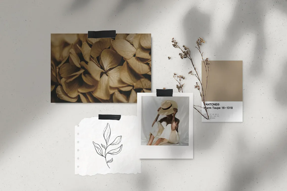 Botanical line art sketches