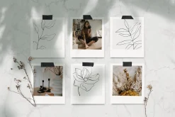 Botanical line art sketches