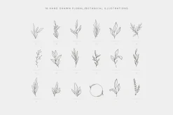 Botanical Logo kit