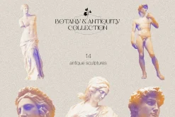 Botany & Antiquity Collection