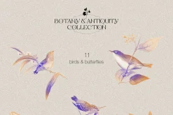 Botany & Antiquity Collection