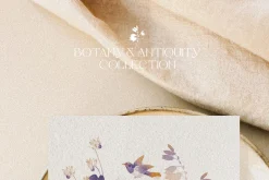 Botany & Antiquity Collection