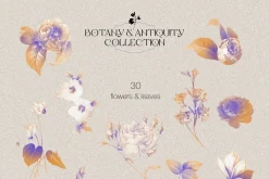Botany & Antiquity Collection