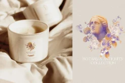 Botany & Antiquity Collection