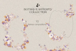 Botany & Antiquity Collection