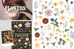 Botany & Halloween mystery BUNDLE