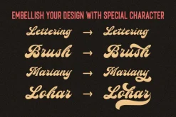 Bouldster - Bold Display Script Font