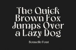 Bouselle - Modern Display Font