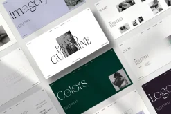 Brand Guideline Presentation