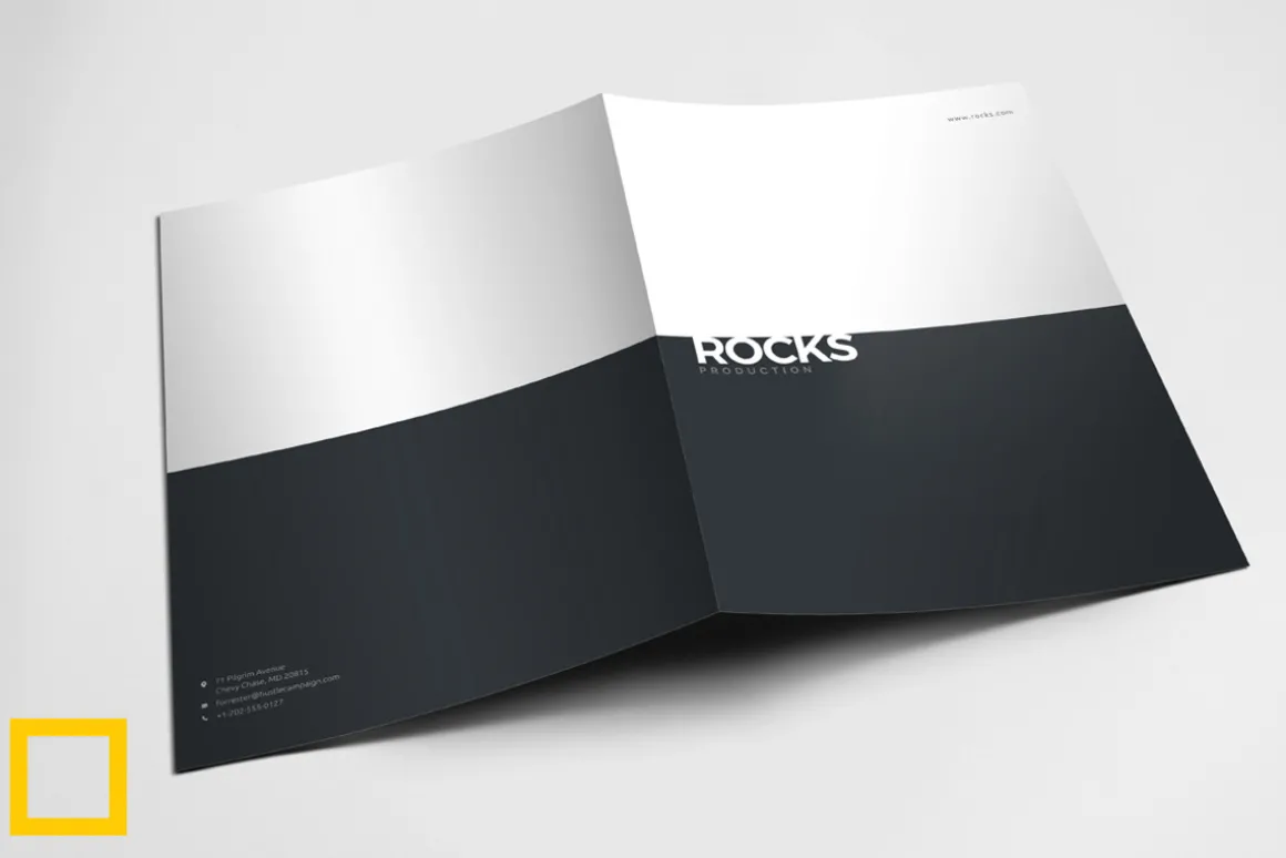 Brand Identity