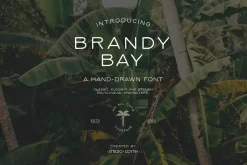 Brandy Bay - A hand drawn font