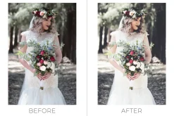 25 Bridal Photoshop Actions