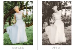 25 Bridal Photoshop Actions