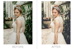 25 Bridal Photoshop Actions