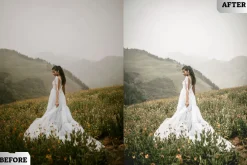 Bright Tones Lightroom Presets