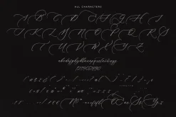 Brightera Himalaye Beautiful Script