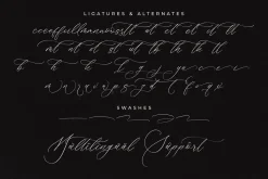 Brightera Himalaye Beautiful Script