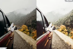 Bright Gold Lightroom Presets