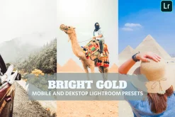 Bright Gold Lightroom Presets